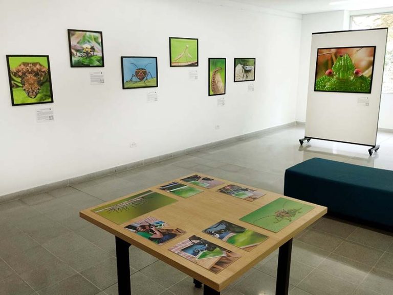 Montaje en PB Lusitania (1) copia