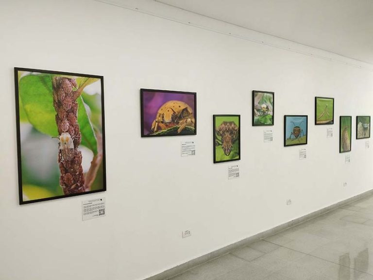 Montaje en PB Lusitania (3) copia