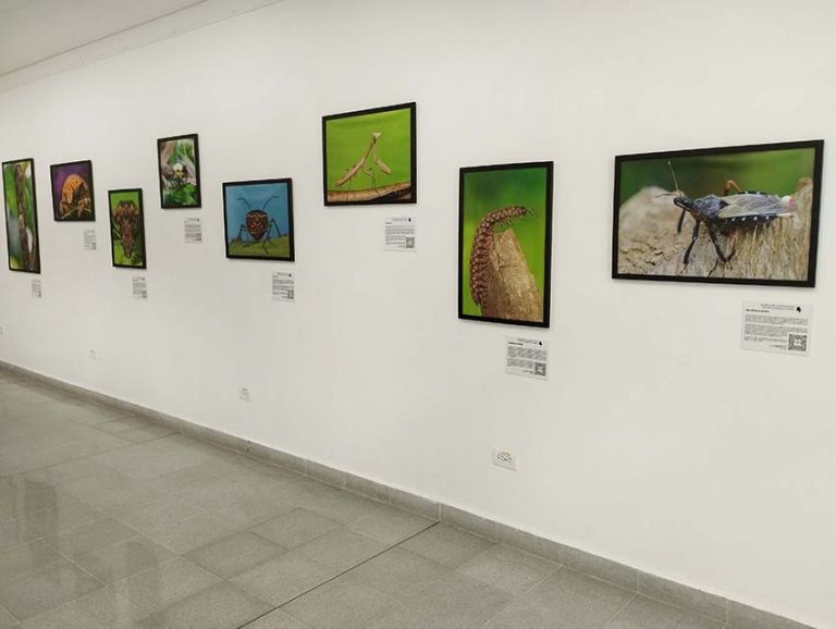 Montaje en PB Lusitania (4) copia