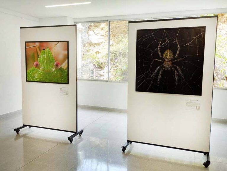 Montaje en PB Lusitania (5) copia