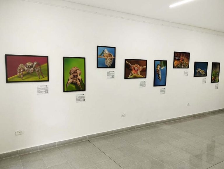 Montaje en PB Lusitania (6) copia