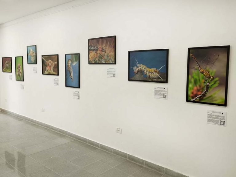 Montaje en PB Lusitania (7) copia