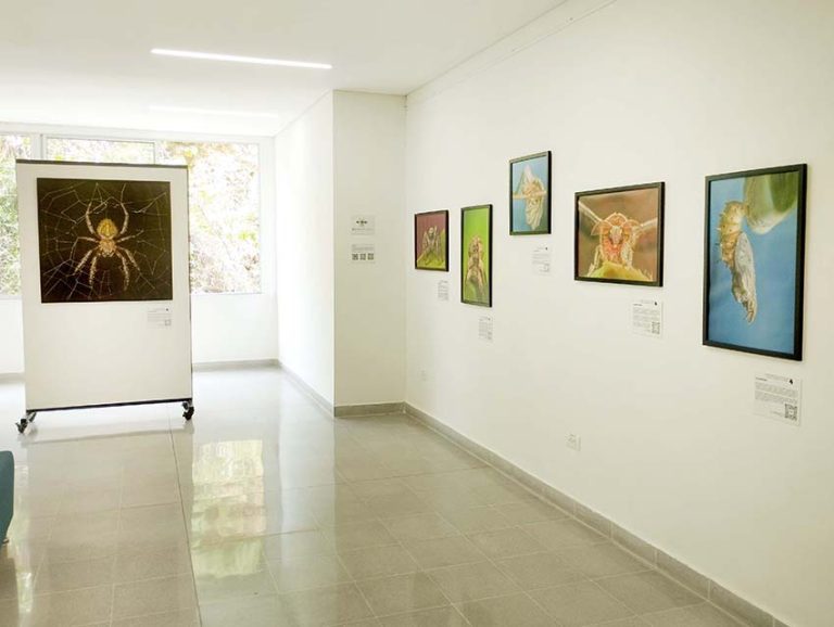 Montaje en PB Lusitania (8) copia