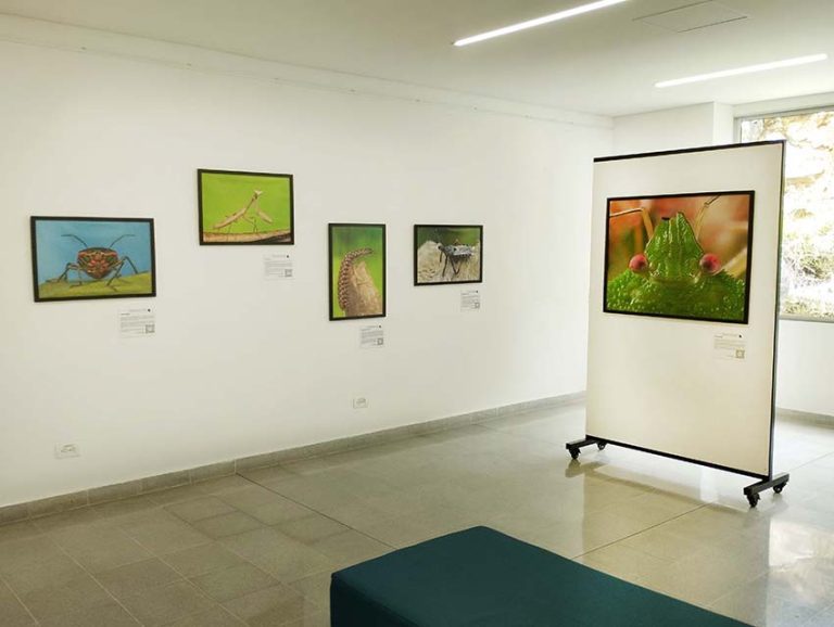 Montaje en PB Lusitania (9) copia