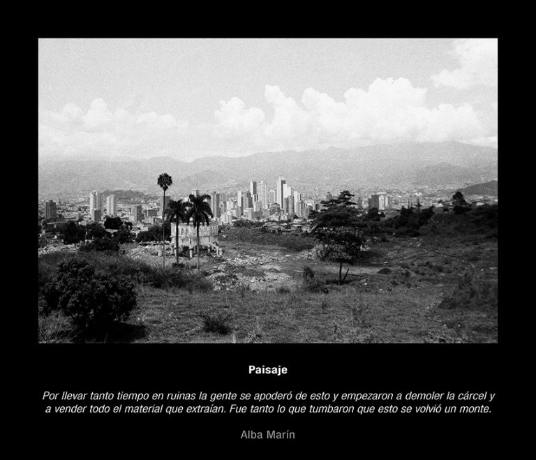 11 copia