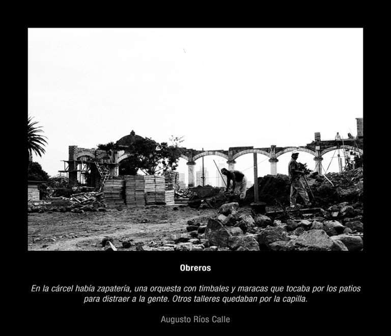7 copia